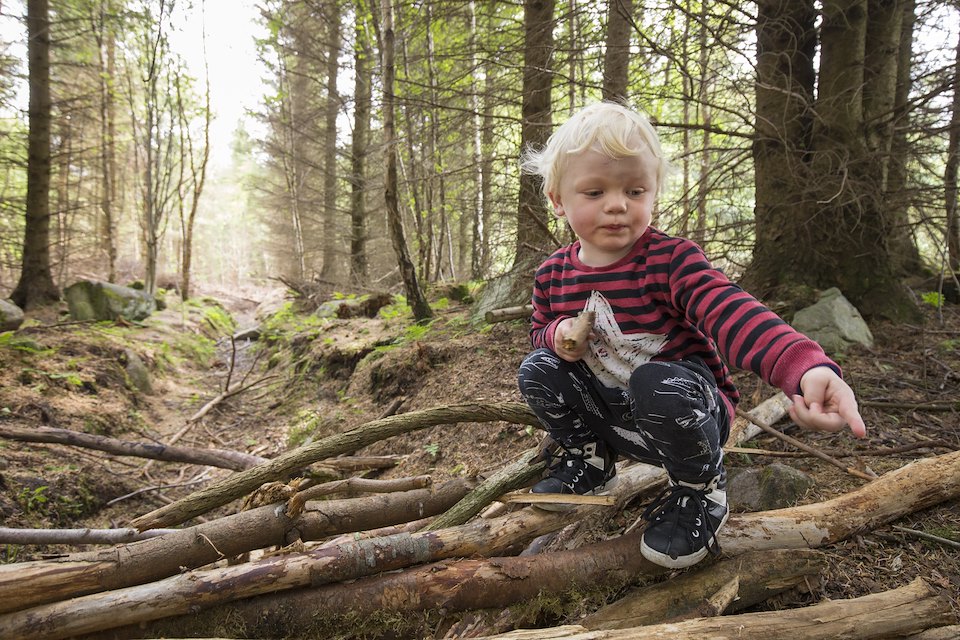 Young boy playing/exploring woodland as part of forest kindergarten session, Mucky Boots, Aberdeen Scotland.MR available