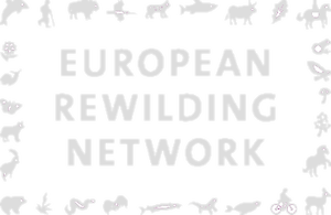European Rewilding Network logo