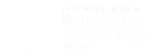 The UN Decade on Ecosystem Restoration logo