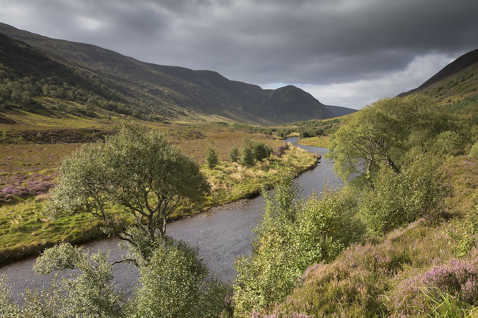 Native woodland regenerating along glacial valley, Alladale Wilderness Reserve, Sutherland, Scotland.