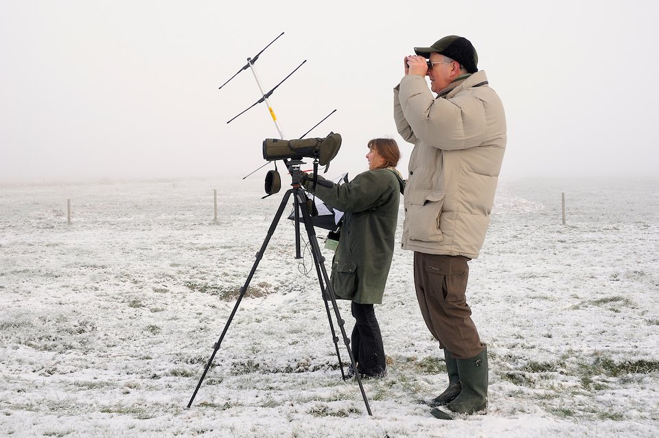 RSPB volunteers Jane Munstermann and Derek Stevenson observing and radio-tracking Common / Eurasian cranes (Grus grus) released by the Great Crane Project onto the Somerset Levels and moors, on a freezing, foggy winter morning with recent snow on the ground. Somerset, UK, December 2010.