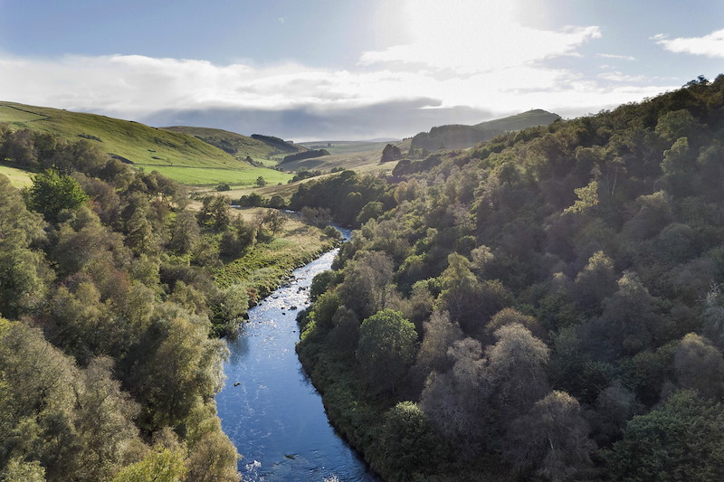 The Deveron River and riparian woodland at Beldorney Estate in Aberdeenshire, a Northwoods Rewilding Network partner.