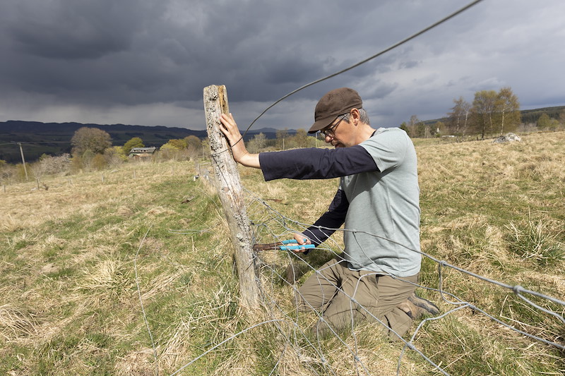 Duncan Pepper removing old fencing on Cultulich Farm, Aberfeldy, Perthshire