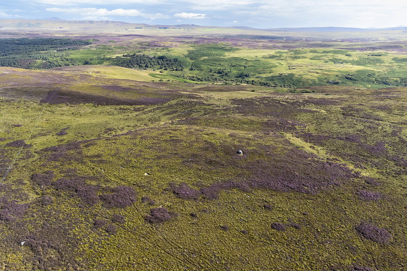 Upland habitat of heather and peat bog, Muie Croft, Northwoods Rewilding Network partner, Rogart, Sutherland