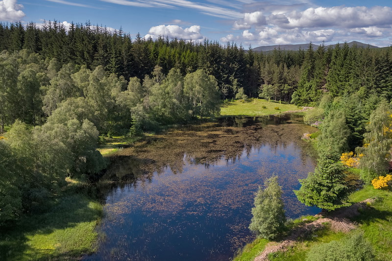 Wester Tullochcurran