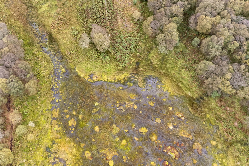Aerial view of bog habitat showing extensive areas of sphagnum moss, Ardnackaig, Argyll