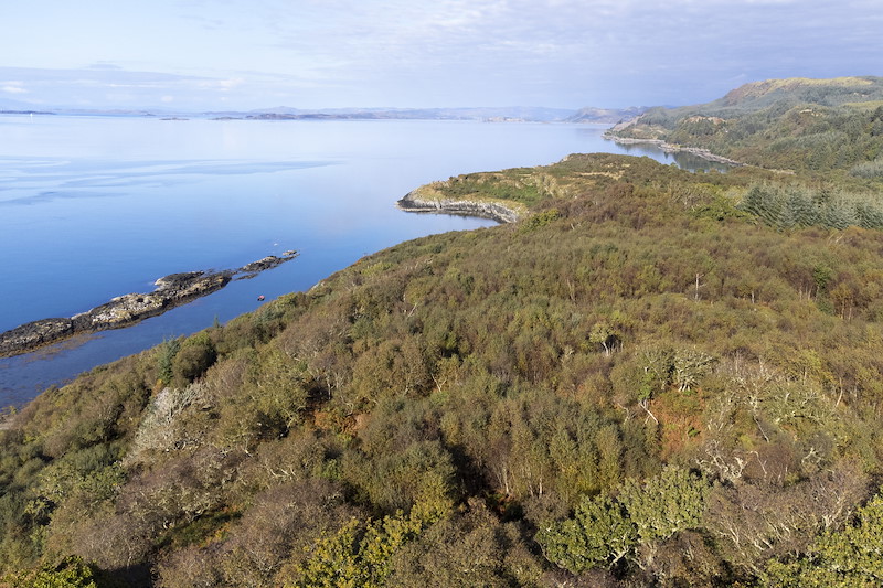 Aerial view of coastal deciduous woodland and the Sound of Jura, Ardnackaig, Argyll
