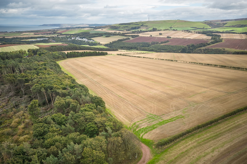 Spott Woodland Edges
