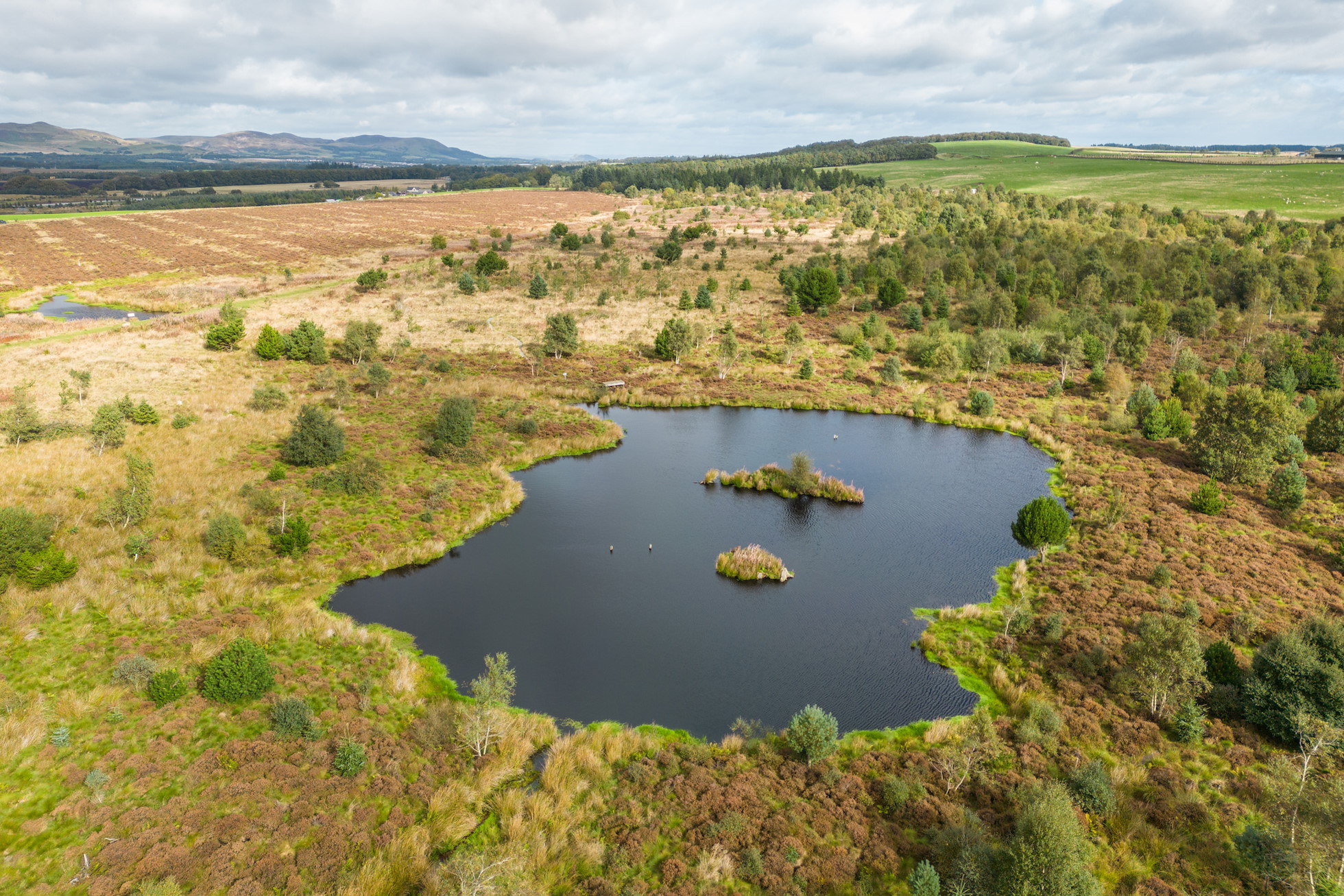 NRN PARTNER: Leadburn Community Woodland NRN PARTNER: Leadburn Community Woodland