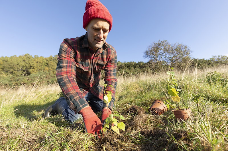 Mark Hilton, planting a silver birch sapling at Wreaton Farm, Aberdeenshire