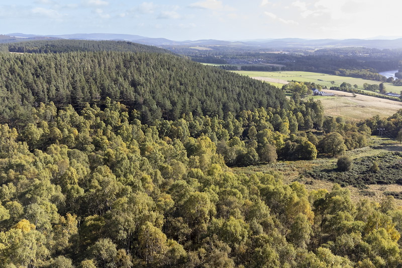 Aerial view of birch woodland and rough grazing pasture, Wreaton Farm, Aberdeenshire
