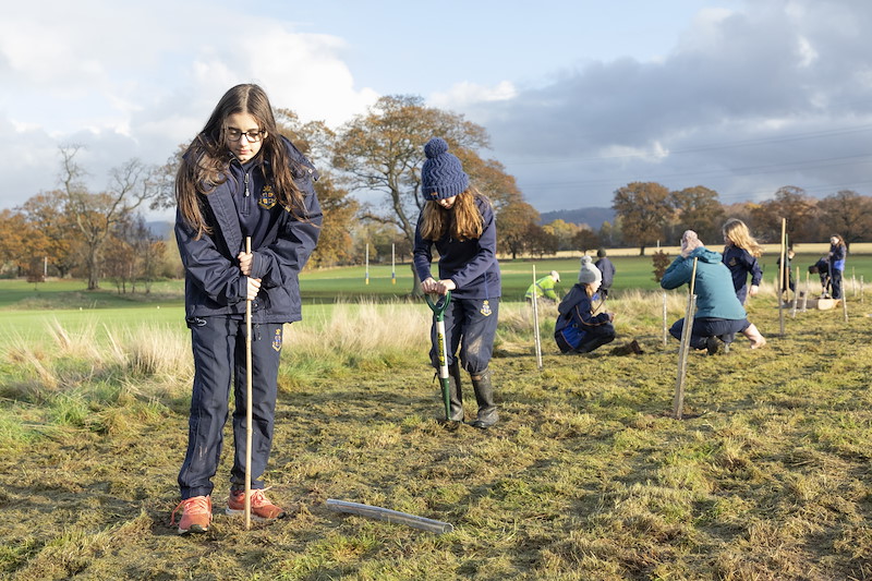Pupils at Strathallan School planting trees in school grounds, Perthshire