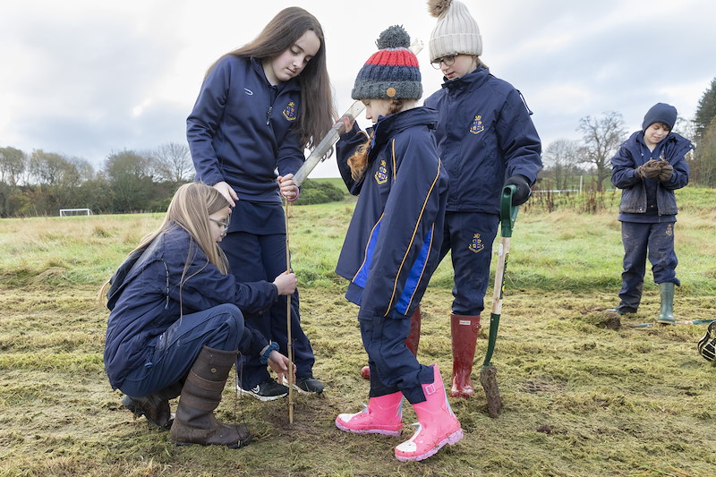 Pupils at Strathallan School planting trees in school grounds, Perthshire