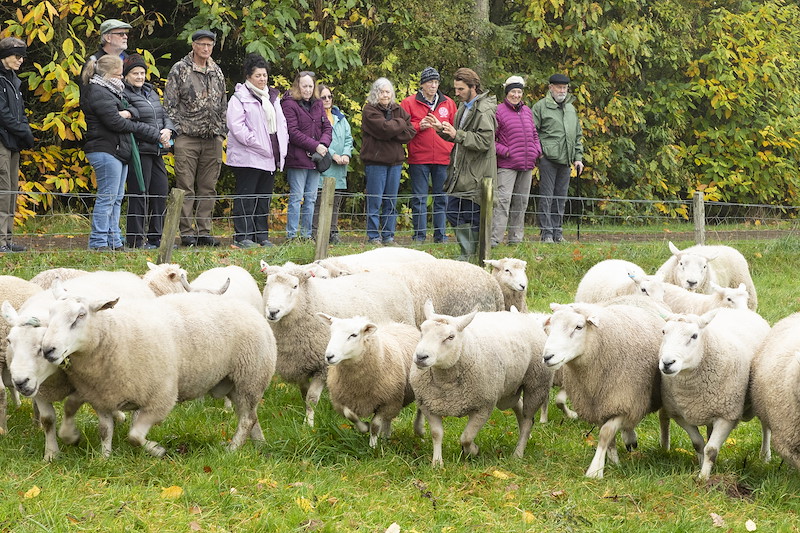 Farm manager, Fred Swift, conducted tour of South Clunes Farm, Inverness-shire