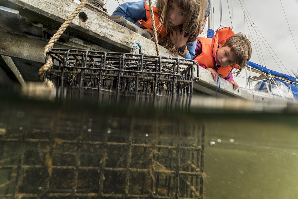 Seawilding Native Oyster Re-introduction. Oyster Hoister project. Sponsored cages put into Ardfern Yacht Centre. The community outreach part of the project. Local Kids, Dan Renton (Head of Seawilding), pulling one of the hoisters out of the water, split water shot.