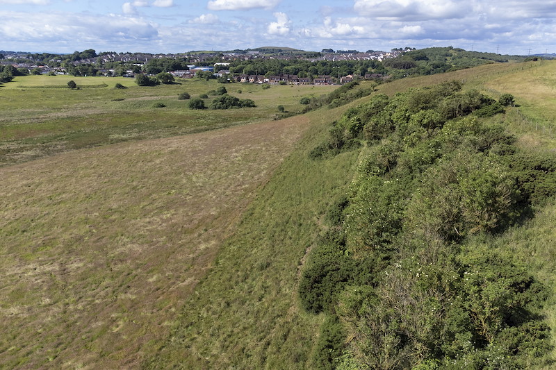 Aerial view of embankment of scrub woodland and surrounding grassland, Lumphinnans Farm, Cowdenbeath