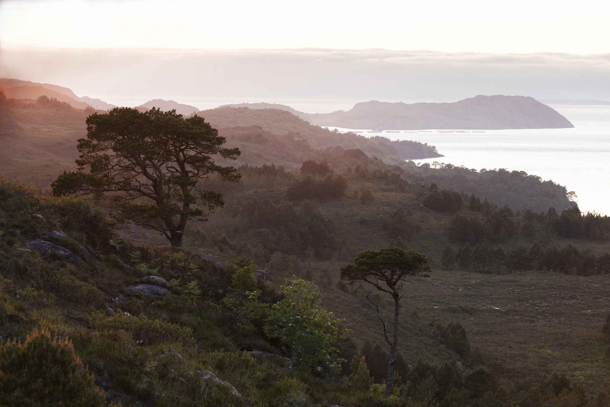 NRN PARTNER: Kinloch Woodlands SCIO NRN PARTNER: Kinloch Woodlands SCIO