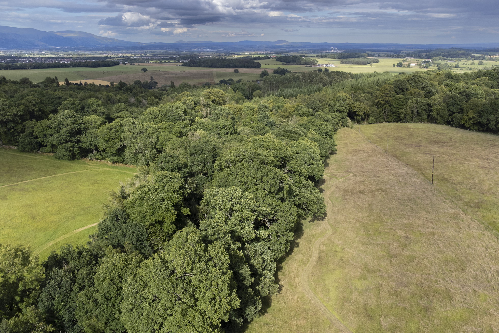 NRN PARTNER: Sauchie Home Farm