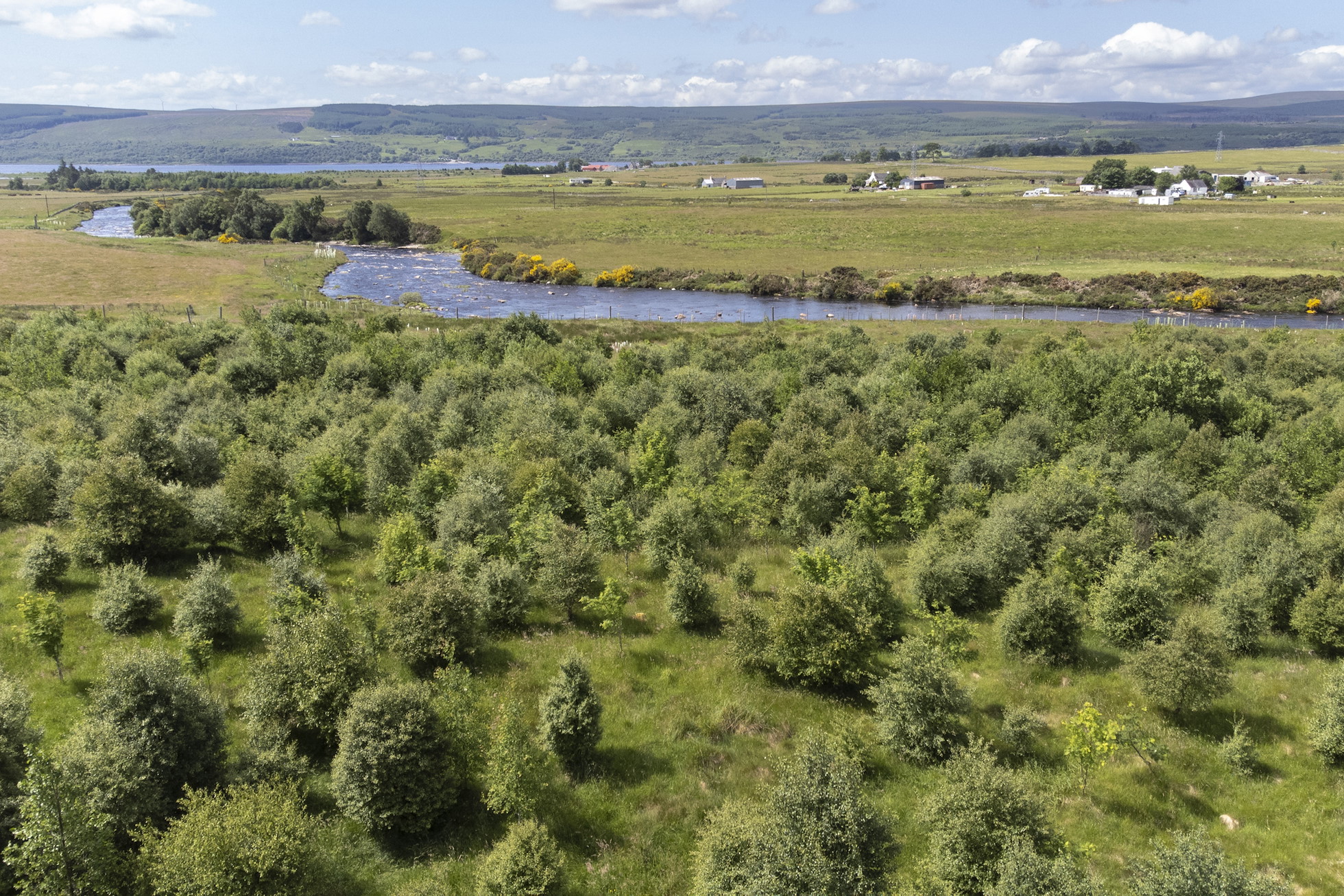 NRN PARTNER: Tirryside Broch & Dalchork Woodlands