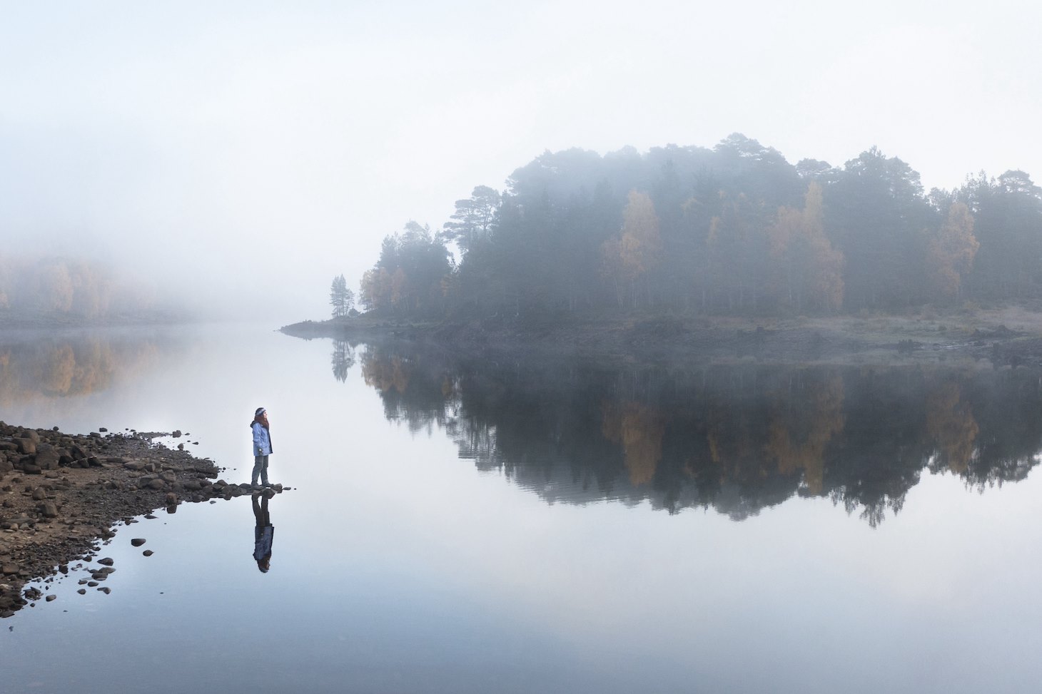 Why Not Scotland? - Glen Affric