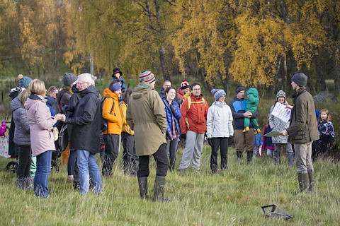 Calls for the land reform and rewilding movements to explore "common ground" Image illustrating Calls for the land reform and rewilding movements to explore "common ground"