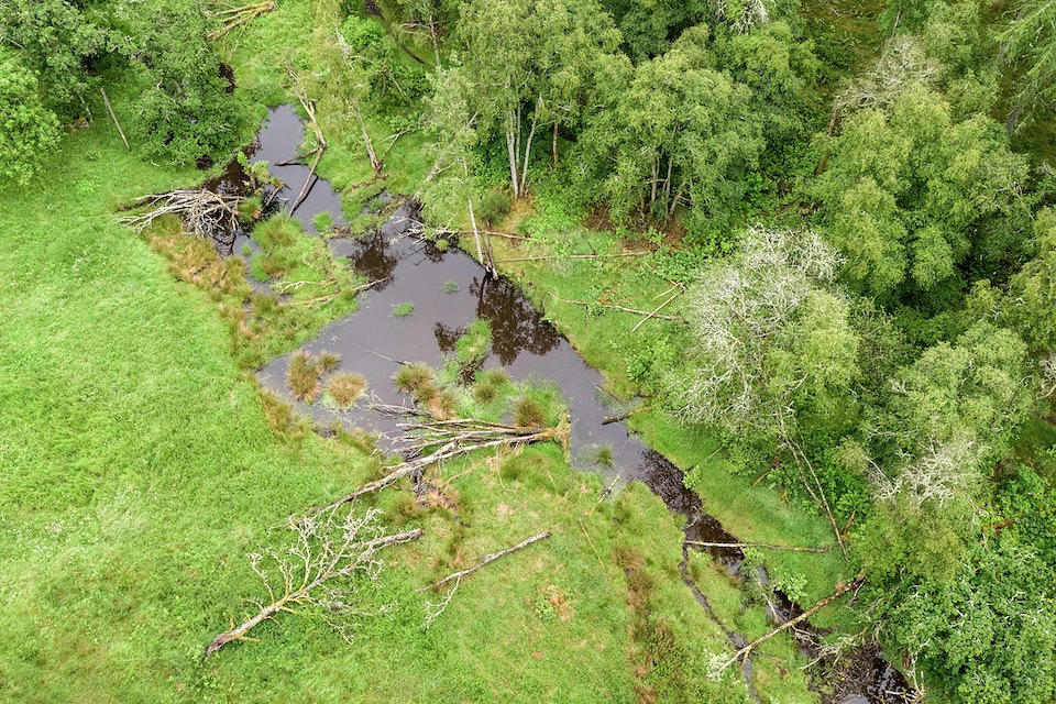 Bamff Estate