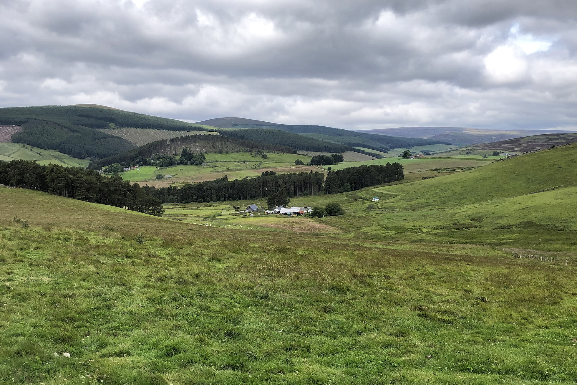NRN PARTNER: Belnaglack Farm NRN PARTNER: Belnaglack Farm