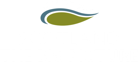 SCOTLAND: The Big Picture - logo