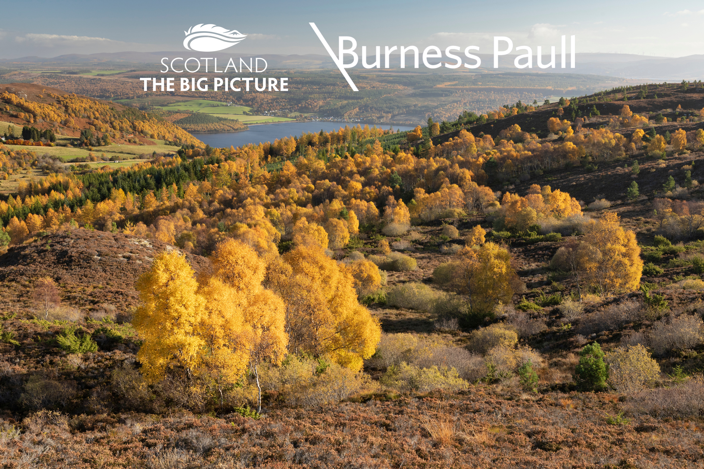 Image illustrating Burness Paull supports SCOTLAND: The Big Picture as Rewilding Business Partner