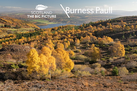 Burness Paull supports SCOTLAND: The Big Picture as Rewilding Business Partner Image illustrating Burness Paull supports SCOTLAND: The Big Picture as Rewilding Business Partner
