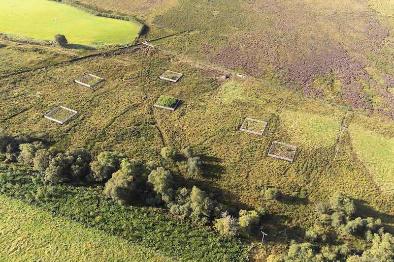 Aerial view of tree exclosures and woodland strip on Lynbreck Croft near Grantown-on-Spey, Cairngorms National Park