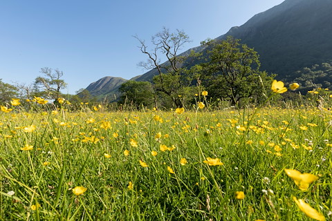SSEN Transmission launch landmark partnership with SCOTLAND: The Big Picture Image illustrating SSEN Transmission launch landmark partnership with SCOTLAND: The Big Picture