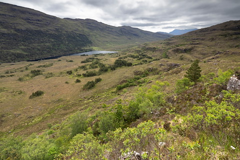 University embarks on rewilding journey with community charity Image illustrating University embarks on rewilding journey with community charity