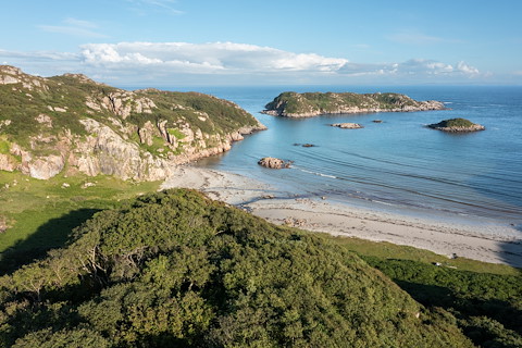 Twice as wild: woodland on Mull peninsula doubles in 30 years Image illustrating Twice as wild: woodland on Mull peninsula doubles in 30 years