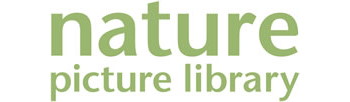 Logo for Nature Picture Library