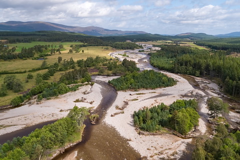 From rapids to rewilding: nature champions join forces for Scotland’s rivers Image illustrating From rapids to rewilding: nature champions join forces for Scotland’s rivers