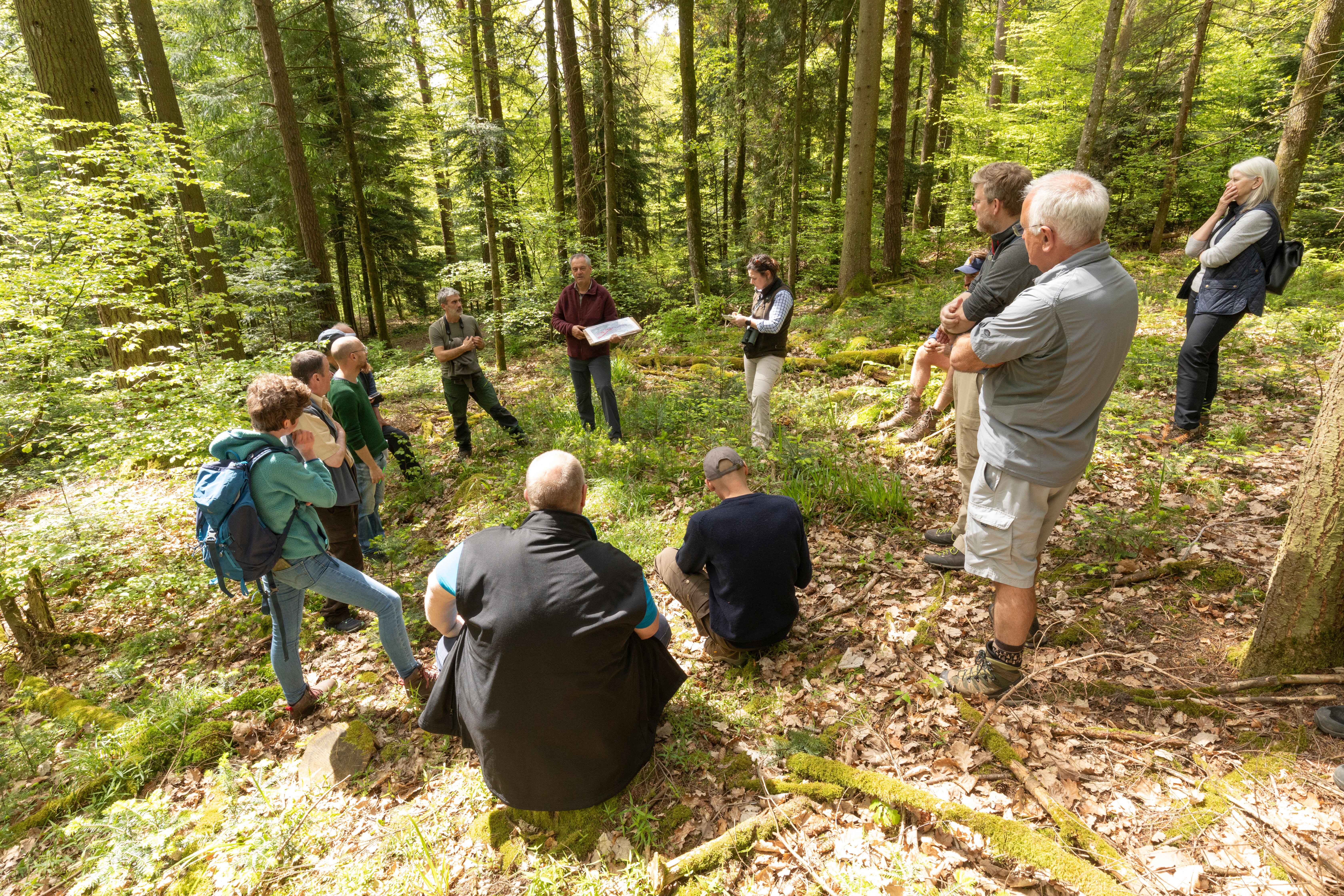 Image illustrating Lynx watch: Swiss study tour explores the realities of a reintroduction