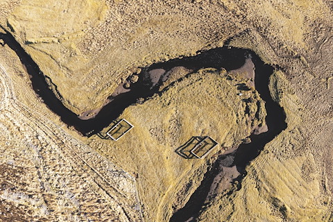 Locally grown, locally built: rewilding Skye  Image illustrating Locally grown, locally built: rewilding Skye