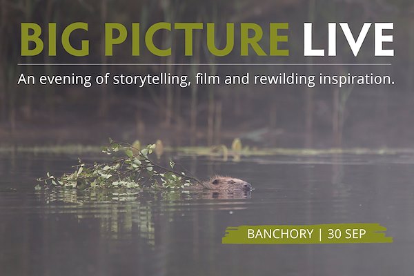 Big Picture Live – Banchory Big Picture Live – Banchory