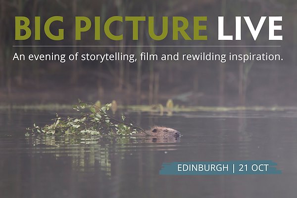 Big Picture Live – Edinburgh Big Picture Live – Edinburgh