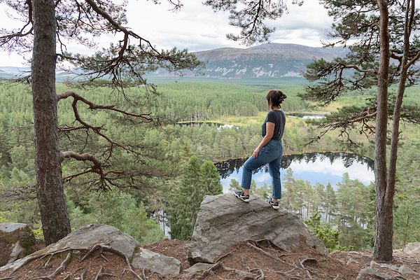 WANT TO EXPERIENCE REWILDING FIRSTHAND? WANT TO EXPERIENCE REWILDING FIRSTHAND?