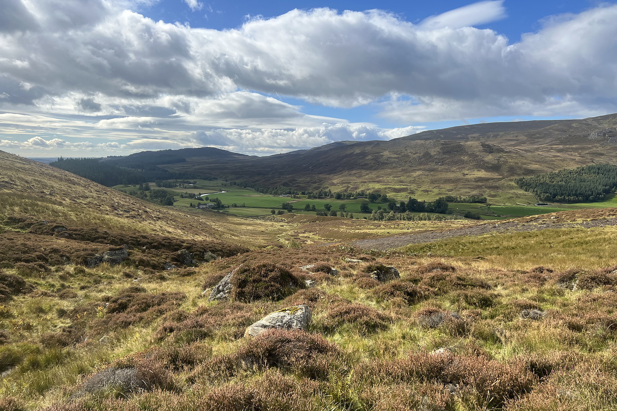 NRN PARTNER: Broughdearg