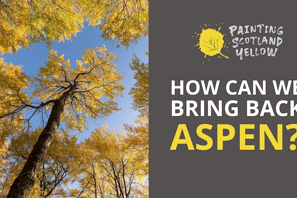 MISSED OUR WEBINAR? WATCH IT ONLINE MISSED OUR WEBINAR? WATCH IT ONLINE