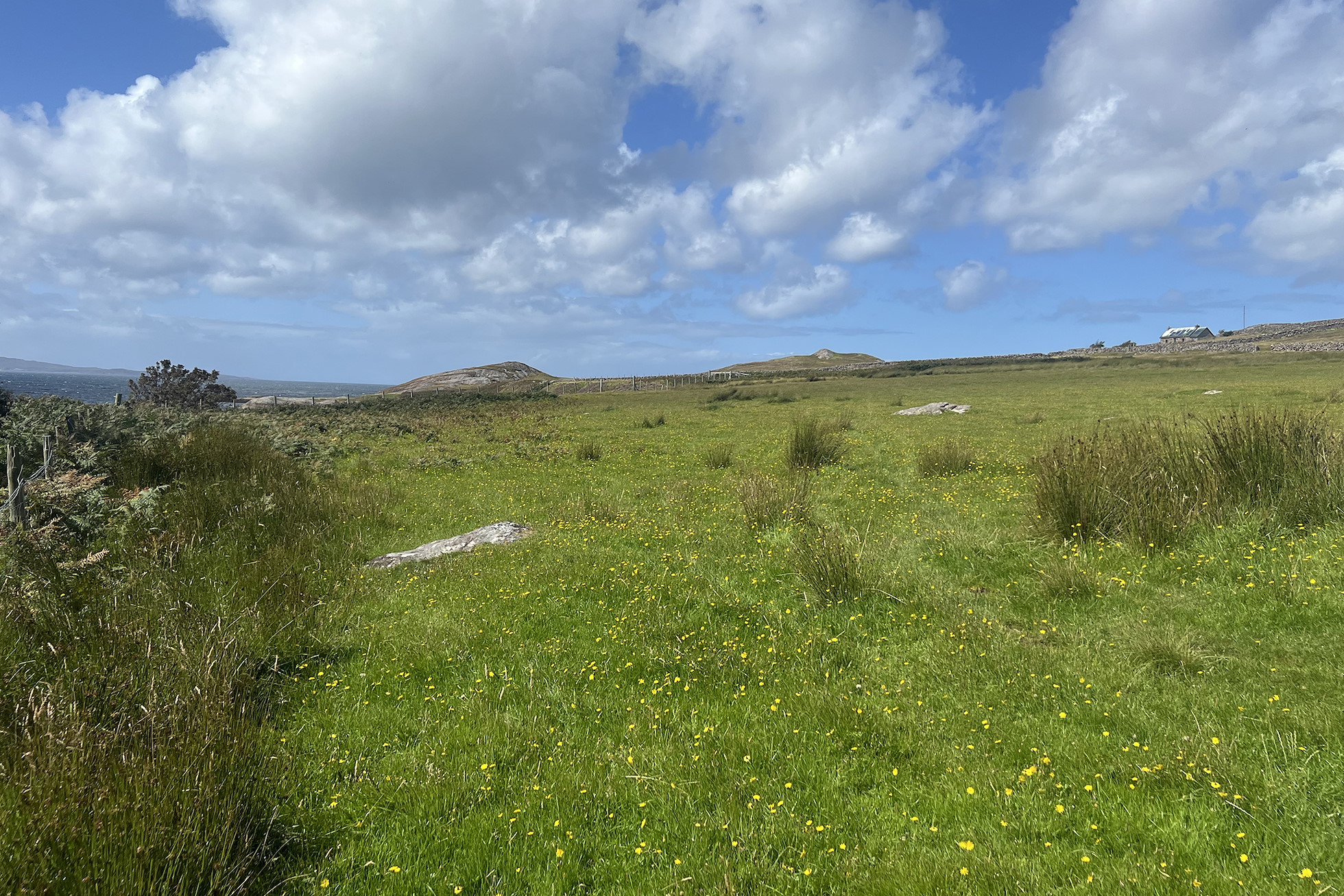 NRN PARTNER: Tigh-Scoraig